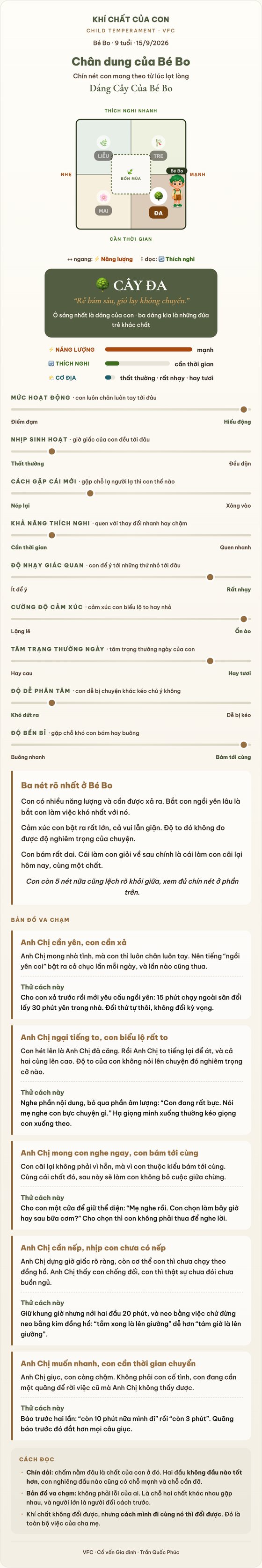 Bản đồ khí chất của Bé Bo: bản đồ dáng cây, chín nét tính khí, năm chỗ va chạm với mẹ